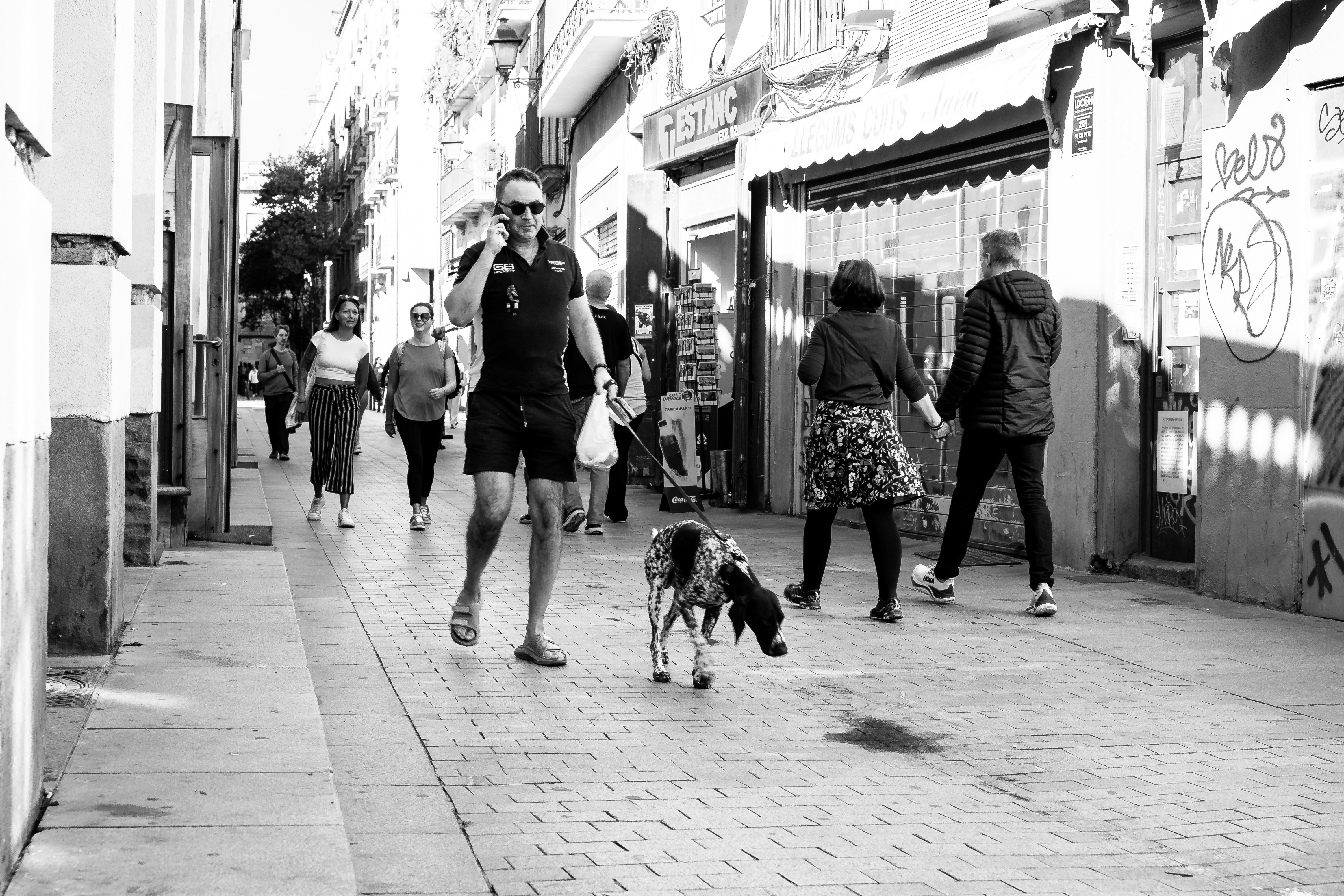 A man in a dark coat walks a German Shorthair along the street while talking on his phone, storefronts blurred behind them