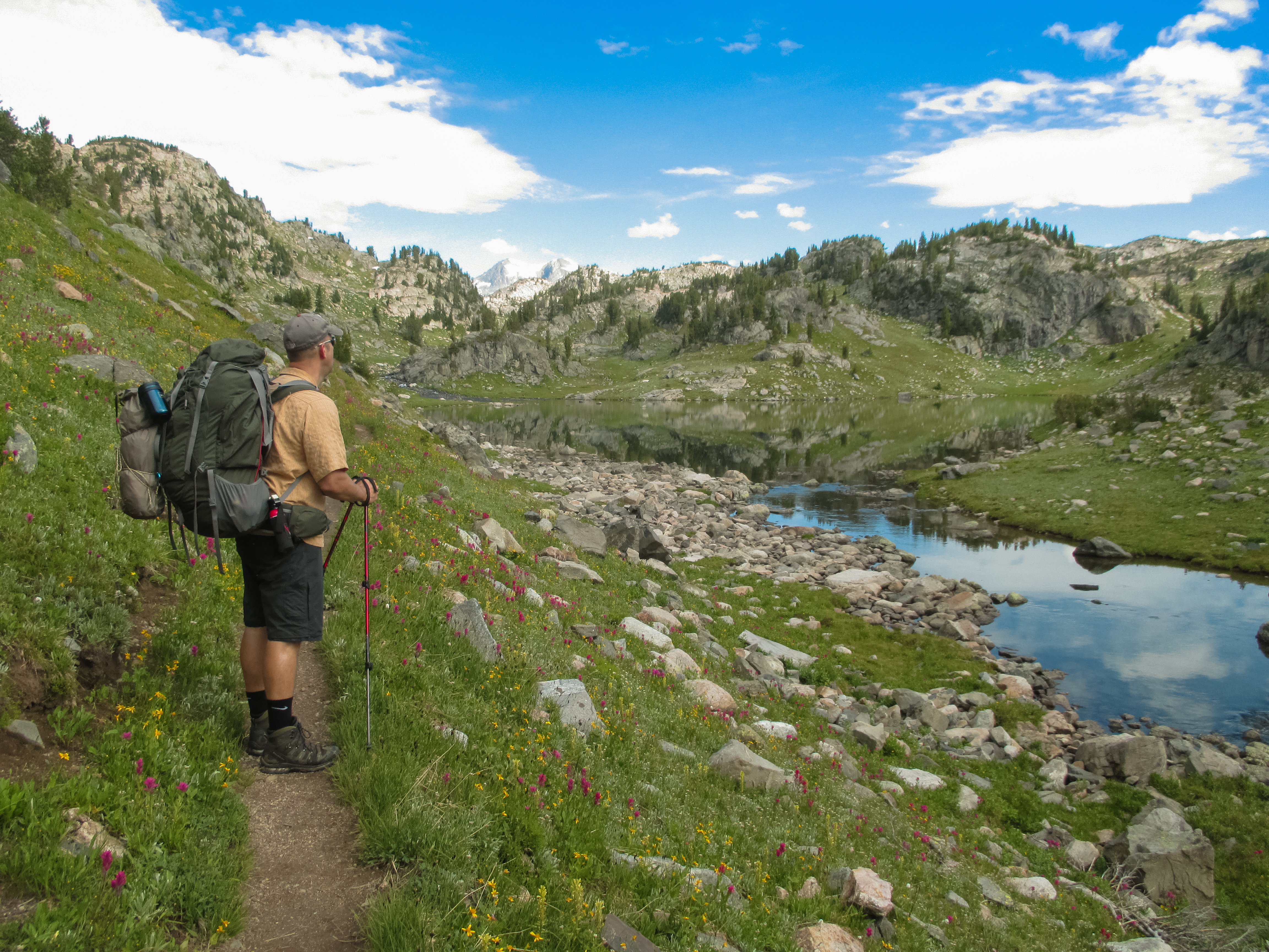 Hiker pausing on the trail above an alpine lake surrounded by summer wildflowers, Beartooth peaks in the distance