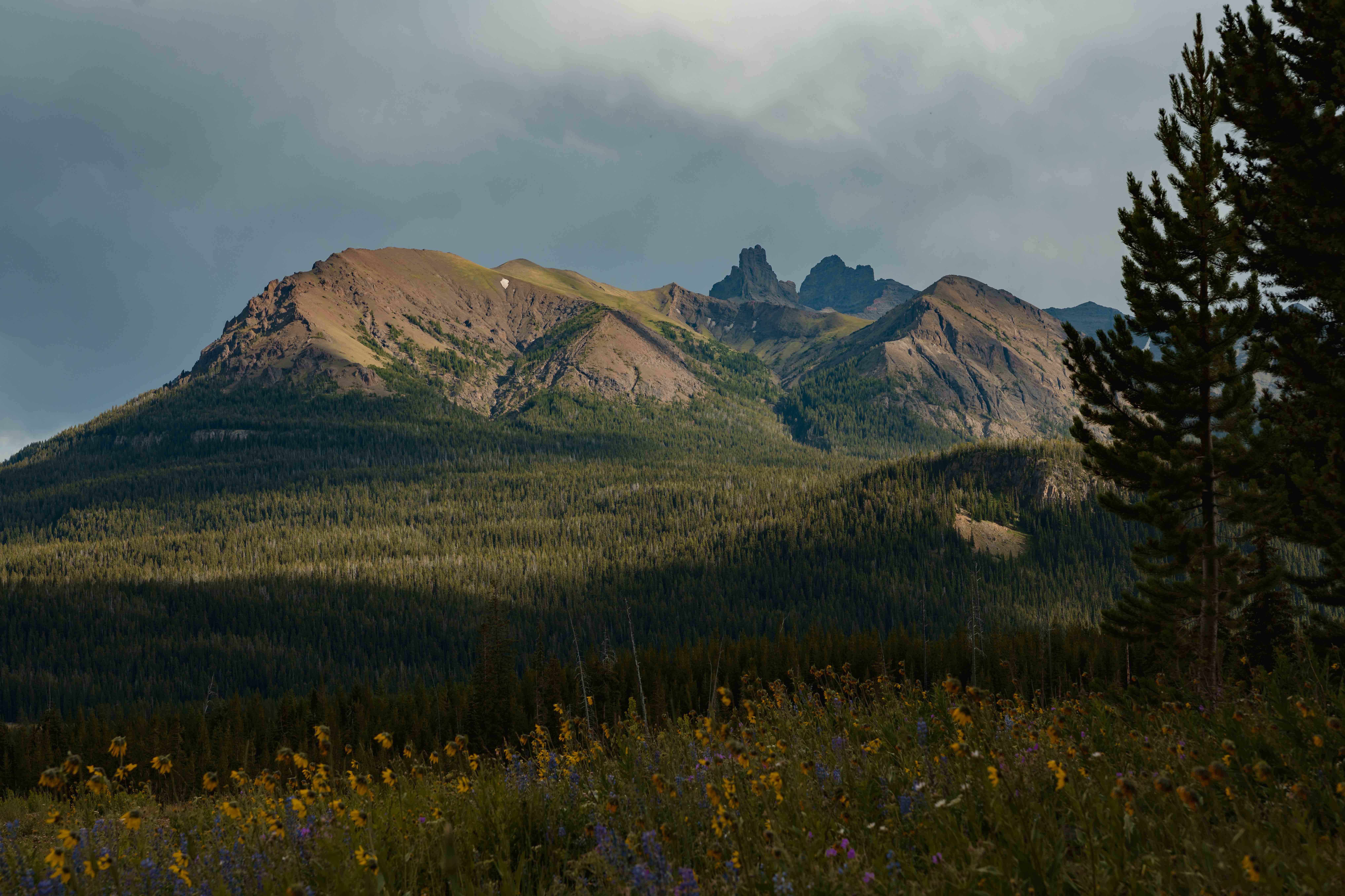 Greater Yellowstone Ecosystem