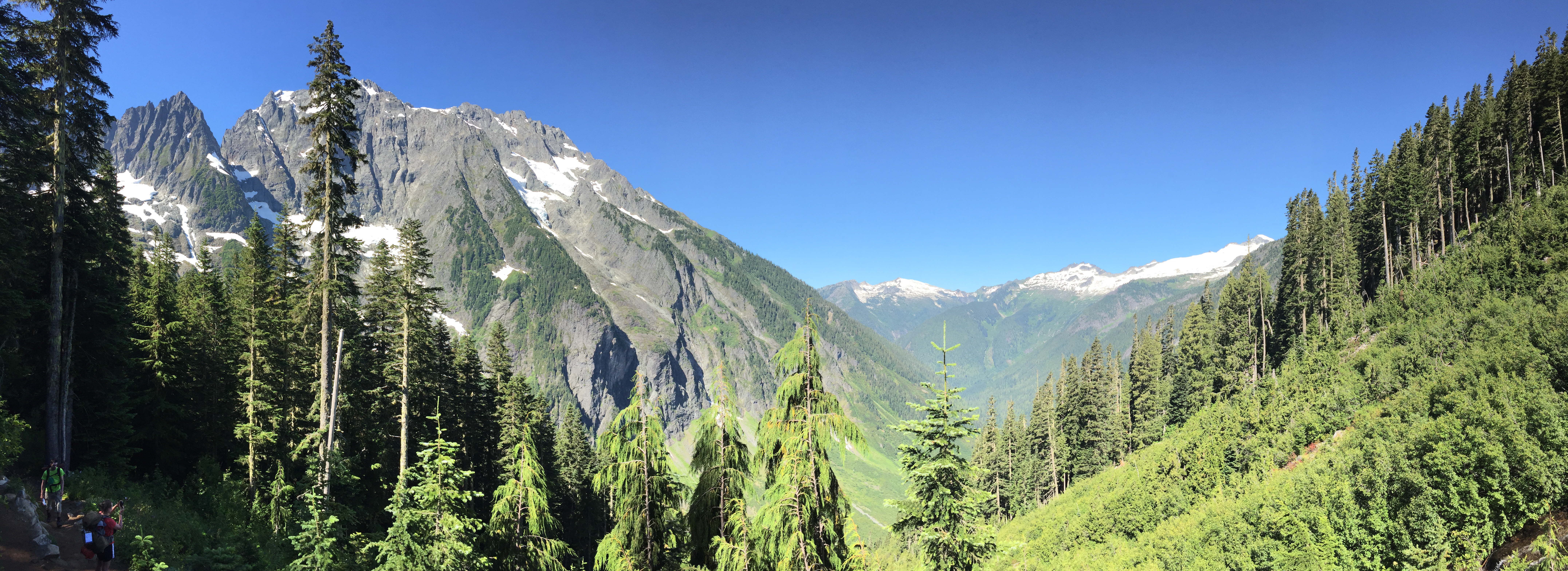 Sweeping view down the lush green Cascade valley with jagged snow-capped peaks and conifer forests below a blue sky