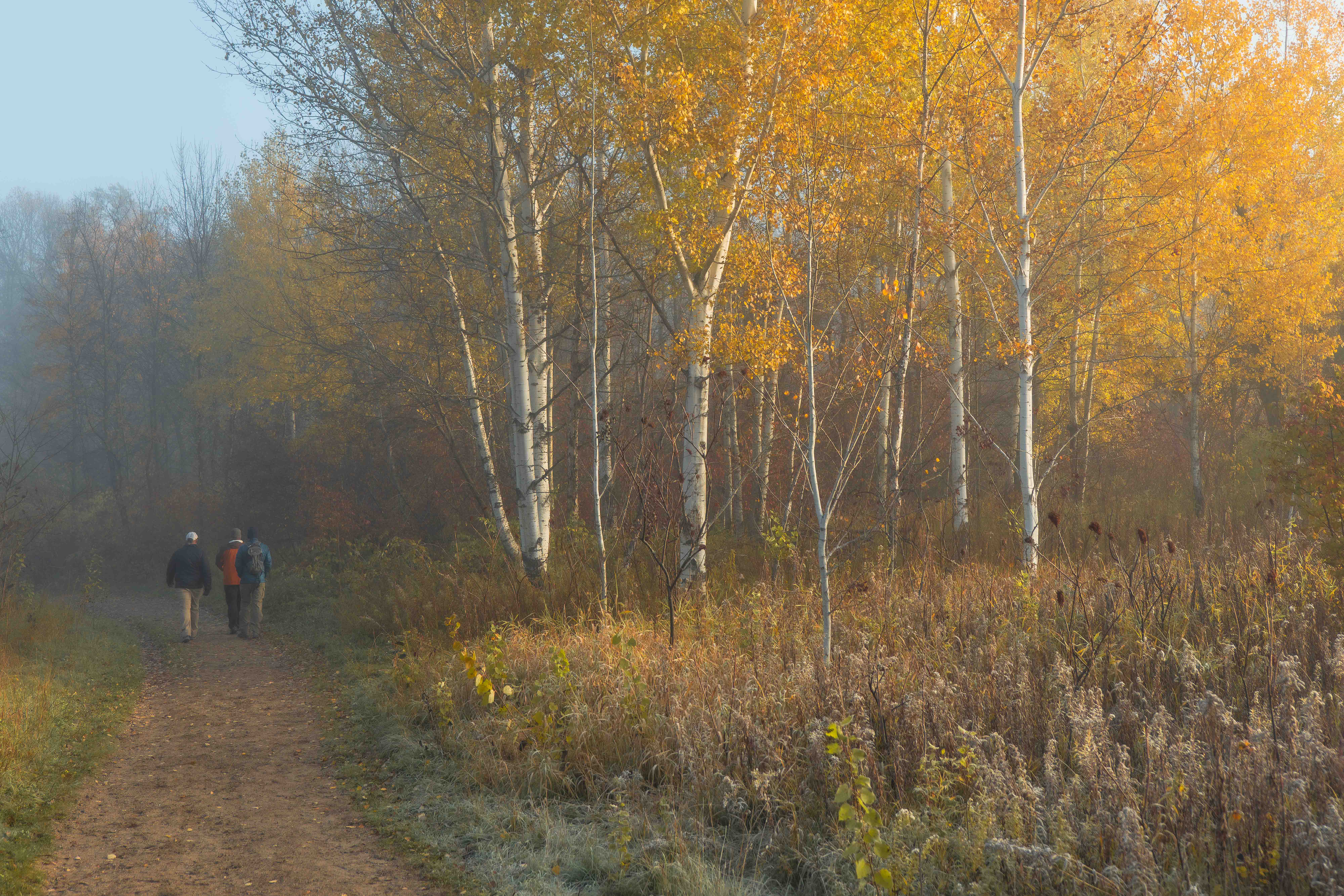 Corporate team building hike through Minnesota wilderness